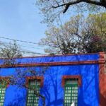 Boletos al Museo Frida Kahlo - Who Should Consider This Tour?