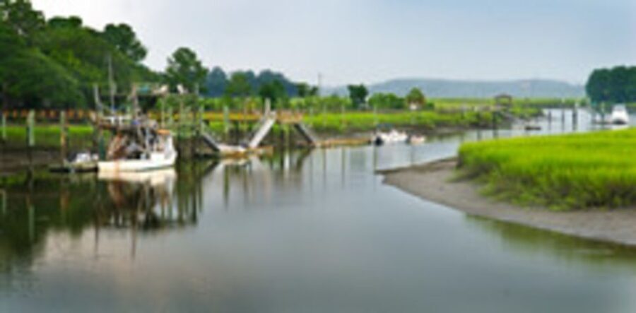 Bonaventure Cemetery & Wormsloe State Historic Site Tour - Transportation and Practicalities