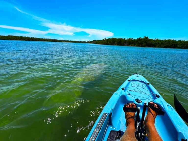 Bonita Springs: Kayak Tour with Manatees, Dolphins Sightings - Who Will Love This Tour?