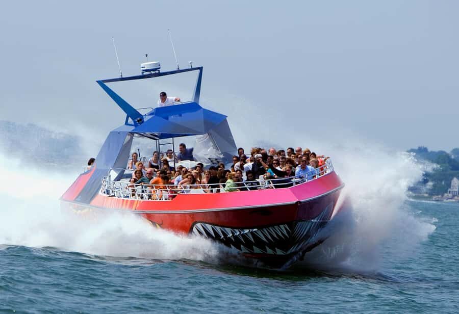 Boston: City Cruises Harbor Codzilla High Speed Thrill Boat - The Vessel and Its Capabilities