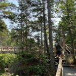 Boston Fall Day Trip to White Mountains, Lost River Gorge - A Detailed Look at the White Mountains Day Trip