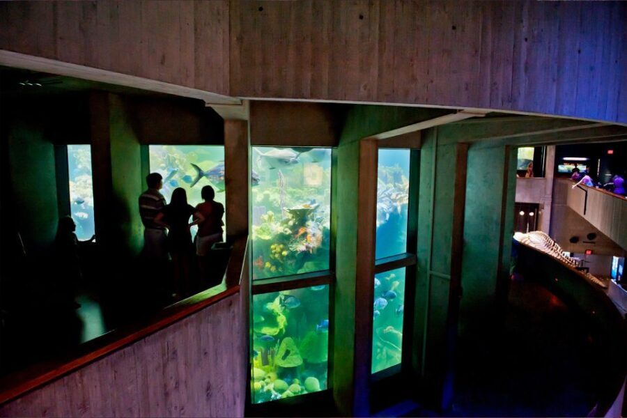 Boston Pass: Save up to 50% - Includes Franklin Park Zoo - Who Should Consider This Pass?