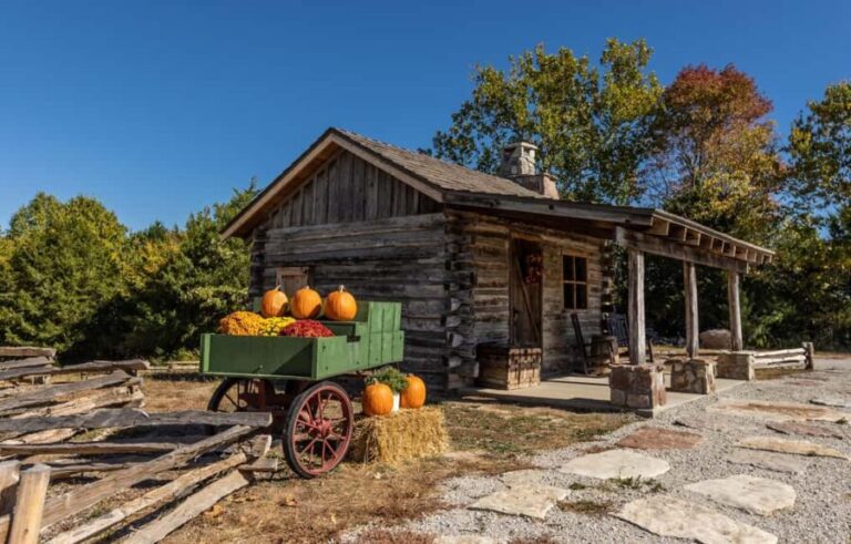 Branson: Downtown to Mountaintop Pink Jeep Adventure - What to Expect and Practical Details
