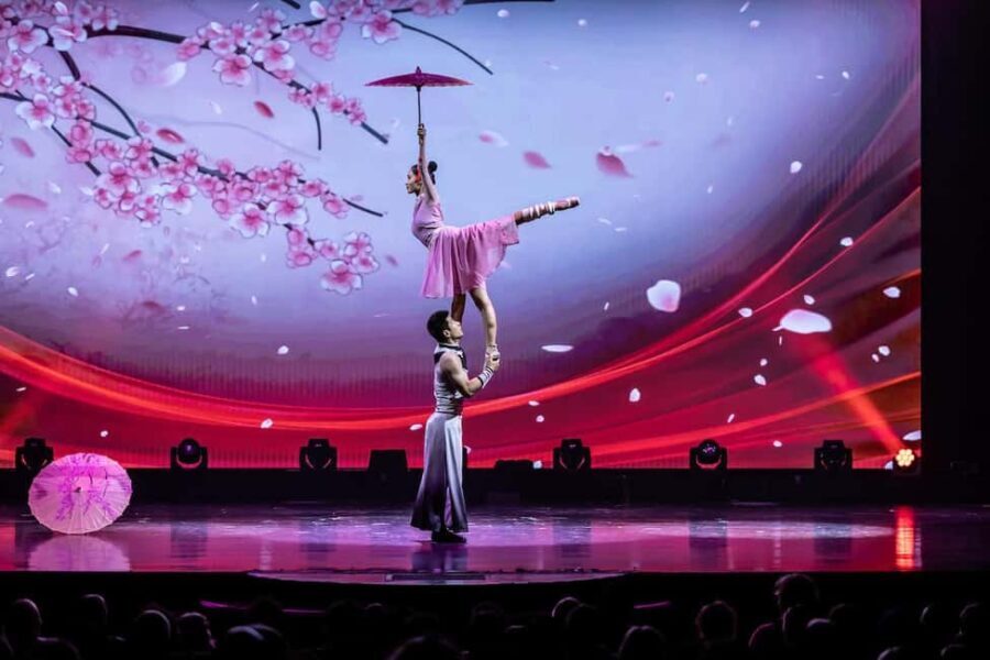 Branson: Grand Shanghai Circus Show Entry Ticket - What You Can Expect from the Grand Shanghai Circus Show