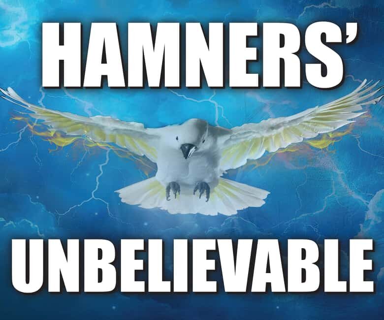 Branson: Hamners' Unbelievable New Year's Eve Extravaganza - The Show: An Expanded Hamners’ Unbelievable Variety