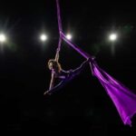 Branson: Hamners' Unbelievable Variety Show Entry Ticket - Who Will Love This Show?