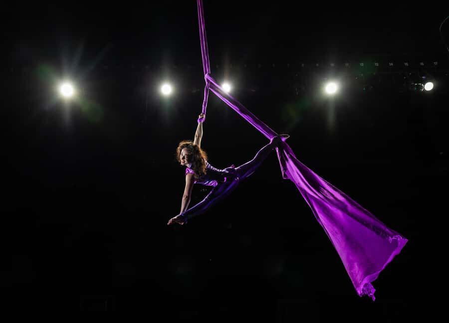 Branson: Hamners' Unbelievable Variety Show Entry Ticket - Who Will Love This Show?