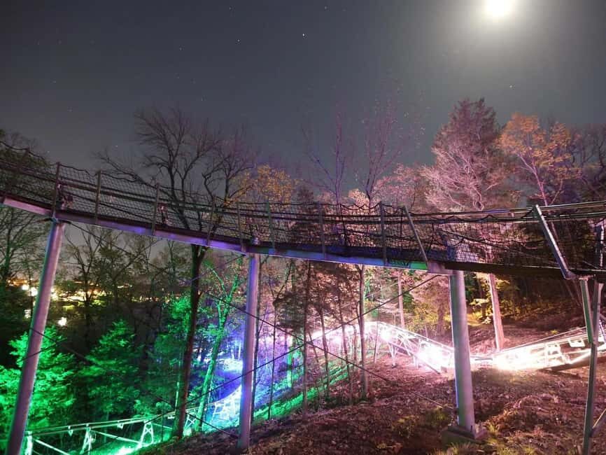 Branson: Thrilling Mountain Coaster Ride - How Does the Ride Feel?