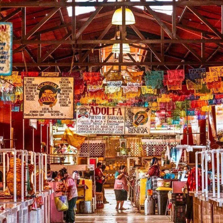 Breakfast in Tlacolula; Ancestral and industrial mezcal distillery - An introduction to the tour experience