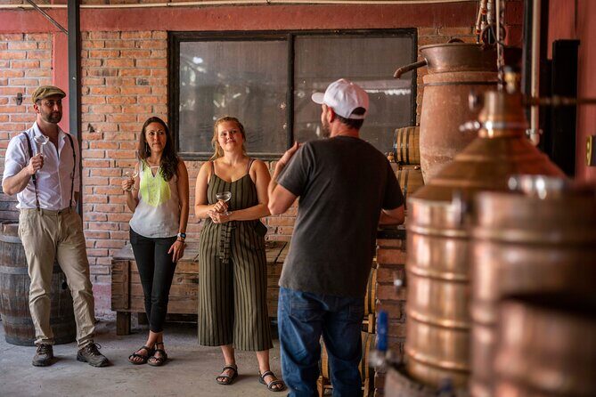 Breakfast & Market Tour in San Luis Potosí with English Guide - Who Should Consider This Tour?