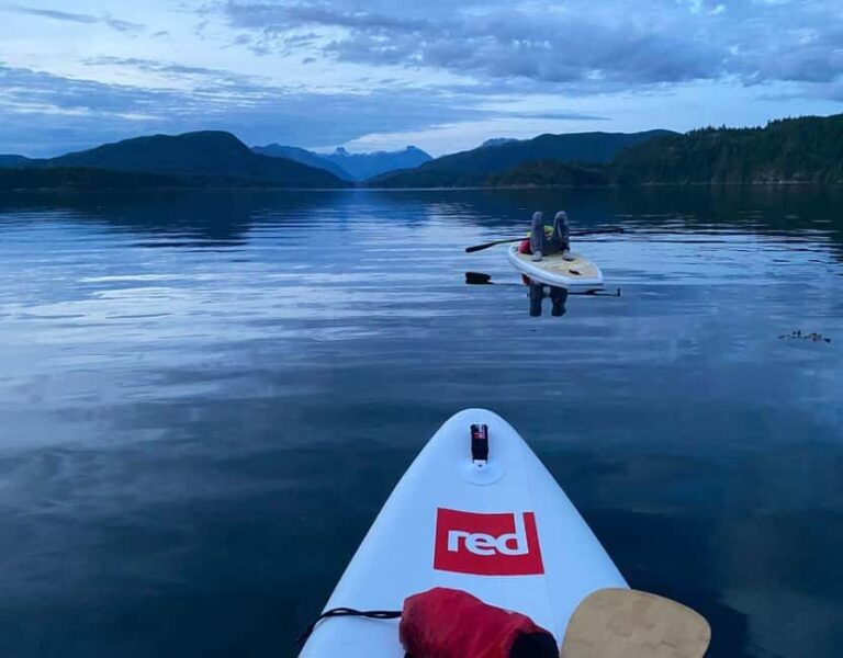 Brentwood Bay: Bioluminescence & Sunset Paddleboard Tour - Who Will Love This Tour?