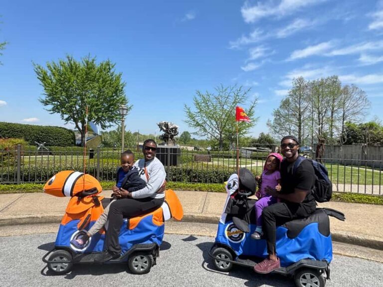 Bridge to Fun: A Chattanooga 1 Hour Rydable Experience - The Value and Who Will Love It