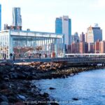Brooklyn Bridge & DUMBO: Private New York Half-Day Walking Tour - Who Should Consider This Tour?