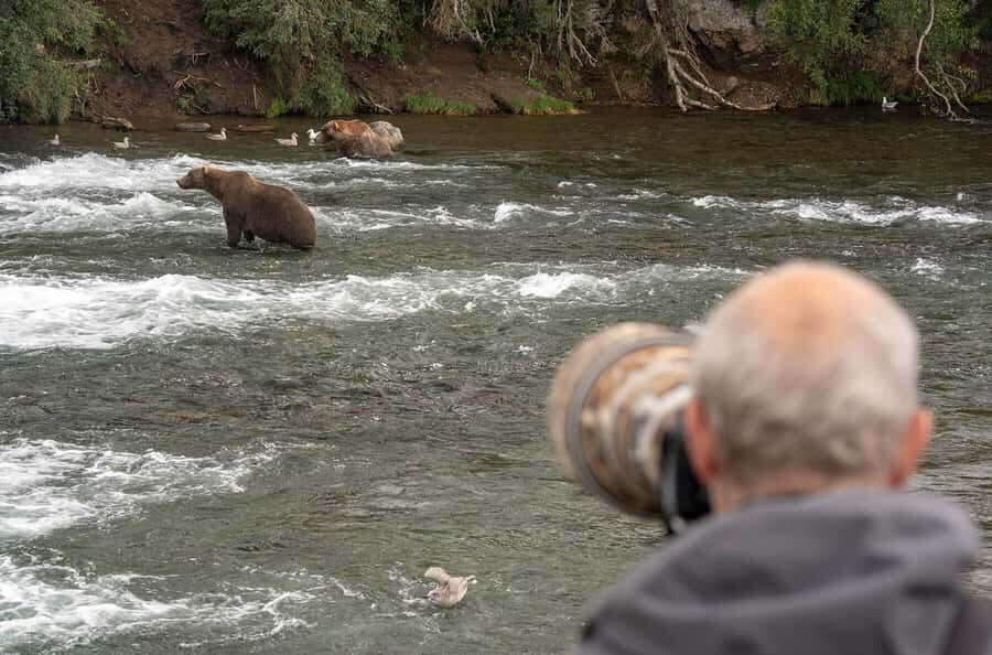 Brooks Falls: Katmai National Park Bear View by Floatplane - The Experience of a Lifetime: What Makes It Special