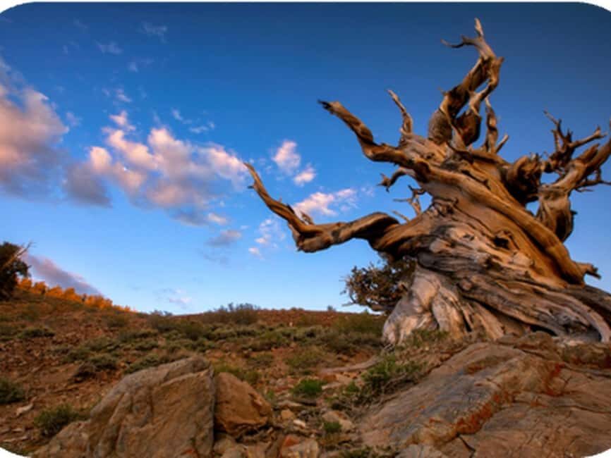 Bryce Canyon: 2-Hour, 4-Seat or 5-Seat ATV Rental - What’s Included and What to Expect?