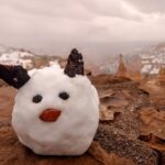 Bryce: Guided Sightseeing Tour of Bryce Canyon National Park - Final Thoughts