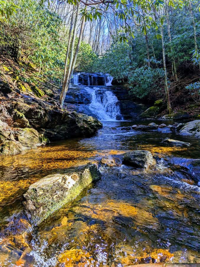 Bryson City: Chasing Waterfalls Guided Hiking Tour - The Terrain and Trail Experience