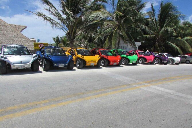 Buggy Adventure in Cozumel + Transportation from Cancún - The Itinerary in Detail: What to Expect