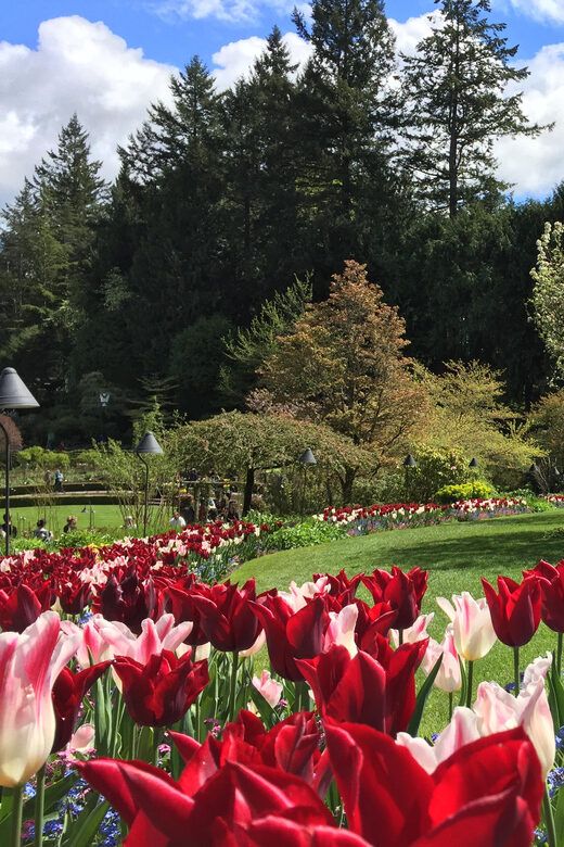 Butchart & Beyond: The Grand Victoria Tour - Final Thoughts: Who Will Love This Tour?