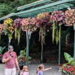 Butchart Gardens and City Private Tour - Practical Aspects and Considerations