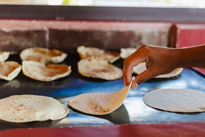 Butterfly Sanctuary and Lunch Experience with Transport - In-Depth Look at the Itinerary