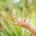 Butterfly Sanctuary Guided Tour in Puerto Vallarta - Exploring the Itinerary: What to Expect