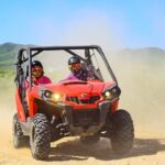 Cabo Adventure: Can-Am X3 Ride & Camel Beach Tou - Who Will Love This Tour?