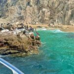 Cabo Arch Glass Bottom Boat: Hotel PICKUP, Arch & Lovers Beach - What Makes This Tour Stand Out