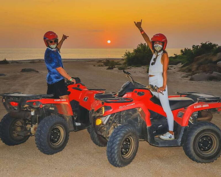 Cabo: ATV and Camel Combo Adventure Tour - The Practicalities: What You Need to Know