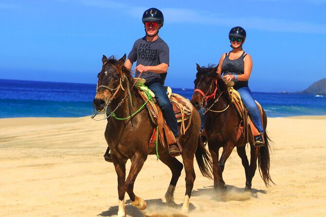 Cabo ATV and Horseback Riding Combo Experience in Migriño - The Practicalities: Pricing, Group Size, and Additional Costs