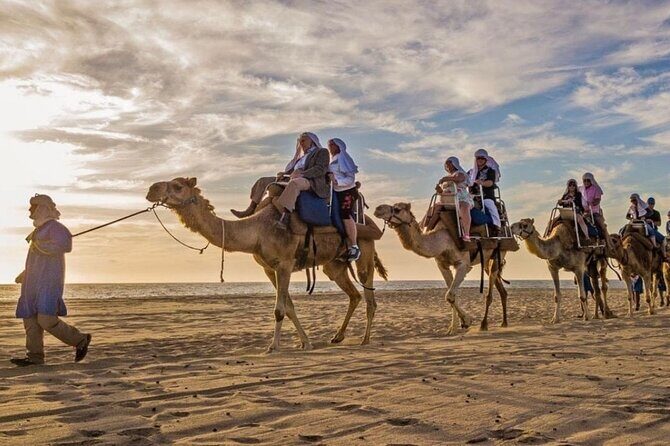 Cabo Camel Ride: Beach Safari, Tequila Tasting & Buffet - The Sum Up: Who Will Love This Tour?