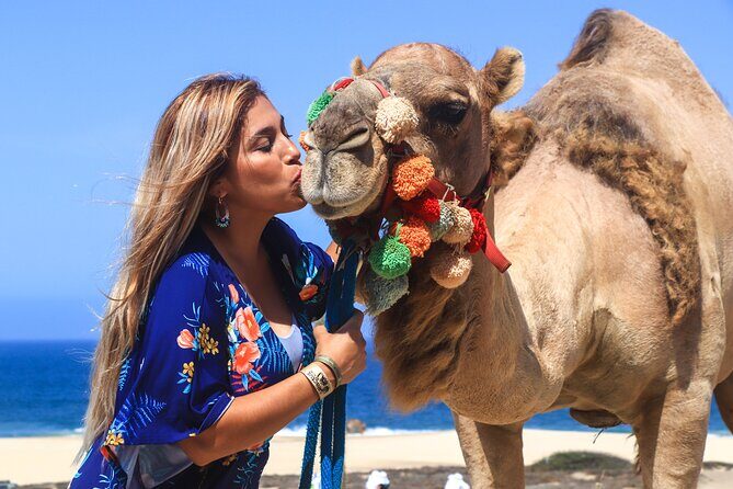 Cabo Camel Ride Experience - What to Expect from the Cabo Camel Ride