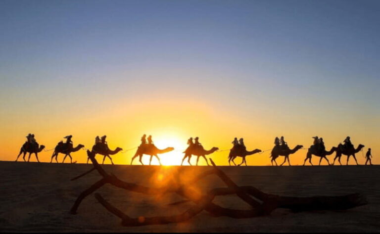 Cabo: Camel Safari Adventure with Tacos - What Do the Reviews Say?