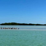 Cabo Catoche Snorkel And Fishing - Who Should Consider This Tour?