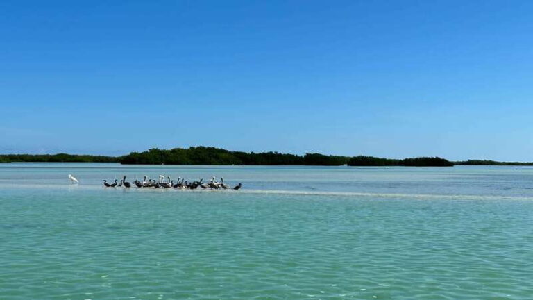 Cabo Catoche Snorkel And Fishing - Who Should Consider This Tour?