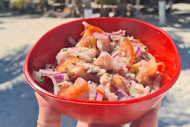 Cabo Catoche Tour with Fishing, Snorkeling and Ceviche - What Makes This Tour Stand Out?