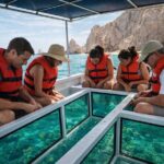 Cabo Glass Bottom Boat Arch Tour for Cruise Passengers - What Makes This Tour Worth Considering?