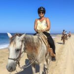 Cabo Horseback Riding on Migriño Beach - What Makes the Ride Special