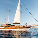 Cabo: Luxury Yacht Snorkel Cruise with Lunch and Open Bar - First Stop: Los Arcos & Sea Lions Colony