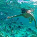 Cabo Pulmo National Park Snorkel Expedition from Cabo San Lucas - Practical Details and Tips