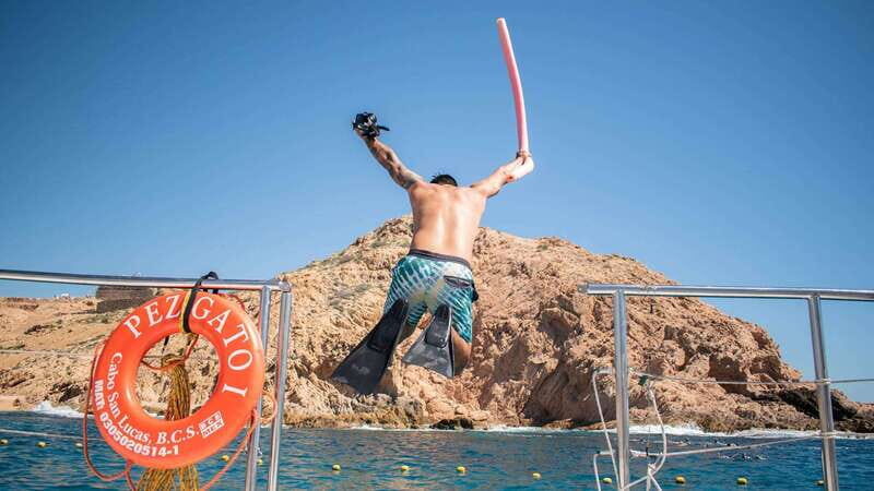 Cabo San Lucas: 4-Hour Snorkeling Cruise with Open Bar - What to Expect from the Experience