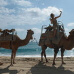 Cabo San Lucas: Amazing Camel Adventure on the Beach - Whats Included and Whats Not