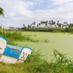 Cabo San Lucas and San Jose del Cabo Sightseeing Tour - Authentic Insights from Guests