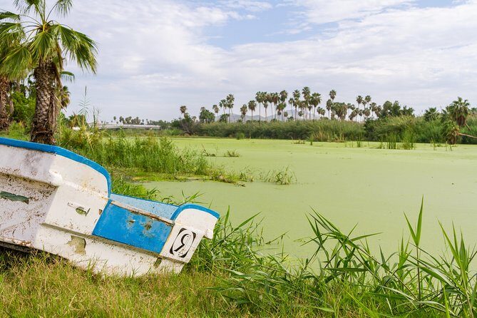 Cabo San Lucas and San Jose del Cabo Sightseeing Tour - Authentic Insights from Guests