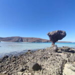 Cabo San Lucas: Balandra Beach and City Tour - What Makes This Tour Stand Out?