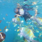 Cabo San Lucas: Beach Hopper Small-Group Snorkeling Tour - What It Means for You