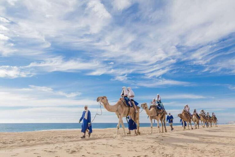 Cabo San Lucas: Camel Safari Tour with Lunch and Tequila - What Travelers Are Saying