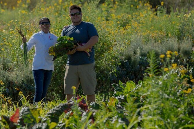 Cabo San Lucas Cooking Classes by Chef Ari - Who Will Enjoy This Experience?