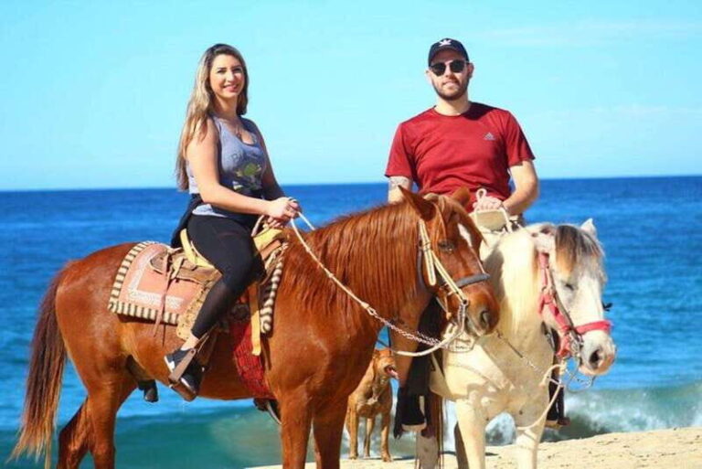 Cabo San Lucas: Desert ATV & Beach Horseback Combo - Why Choose This Tour?