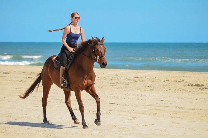 Cabo San Lucas Horseback Ride on Beach and Desert - The Itinerary in Detail